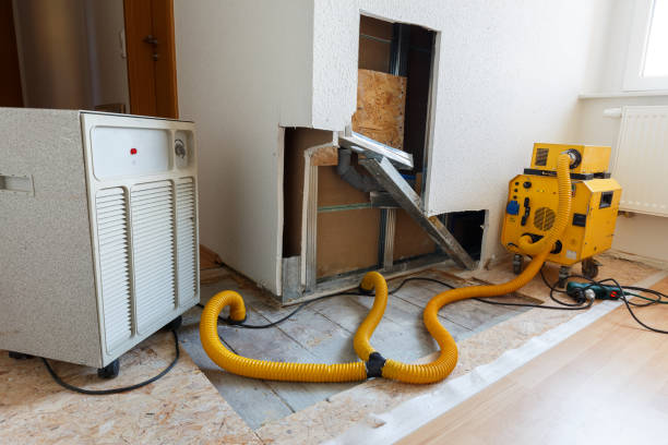 Best Environmental Consulting for Mold Prevention  in Rockville, CT